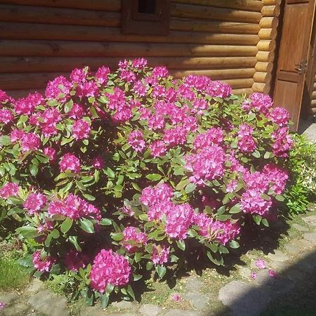 Hotel Sveciu Namelis Szawle Zewnętrze zdjęcie