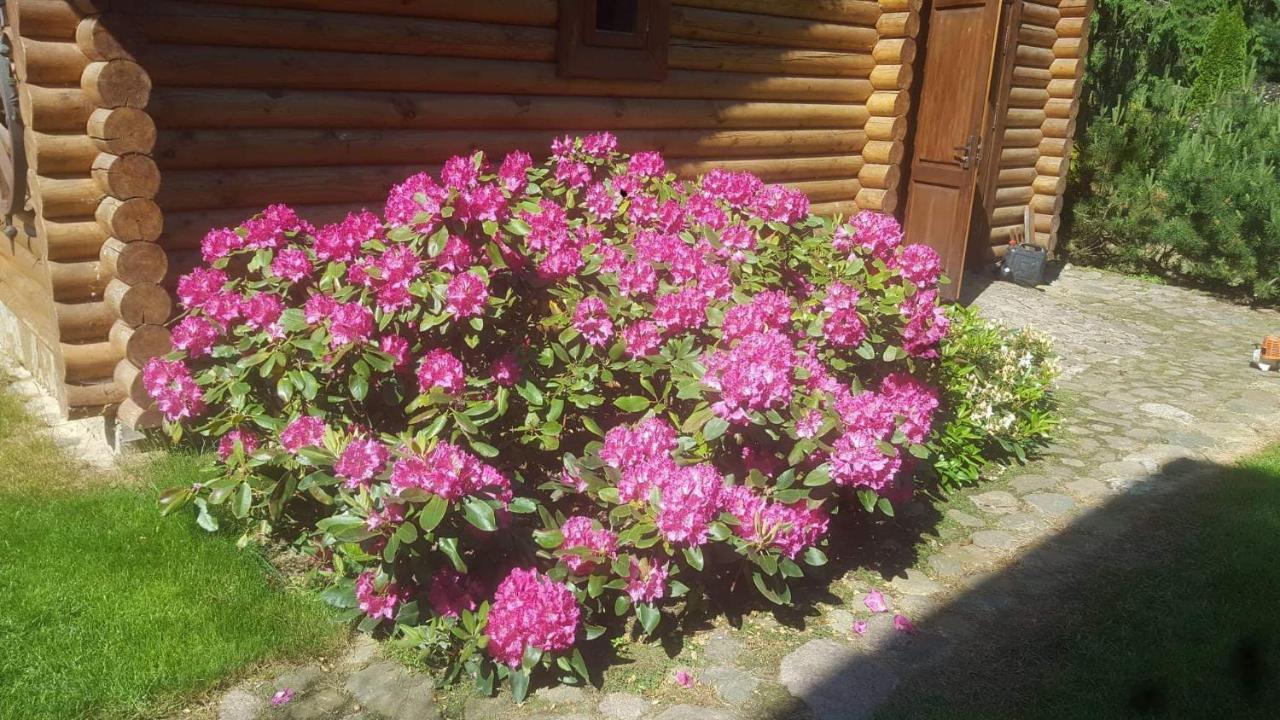 Hotel Sveciu Namelis Szawle Zewnętrze zdjęcie